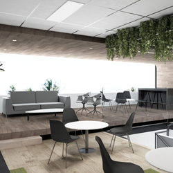 Ringwood Showroom